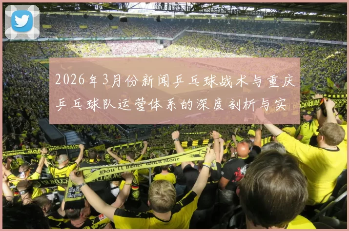 2026年3月份新闻乒乓球战术与重庆乒乓球队运营体系的深度剖析与实践探索